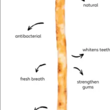 Miswak Datun Sticks Natural Soft Toothbrush